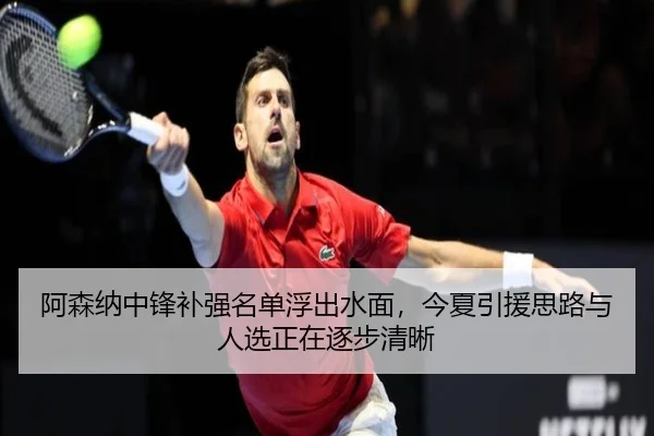 阿森纳中锋补强名单浮出水面，今夏引援思路与人选正在逐步清晰 | kaiyun